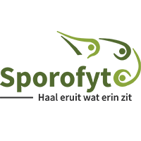 Sporofyt