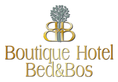 Website Boutique Hotel